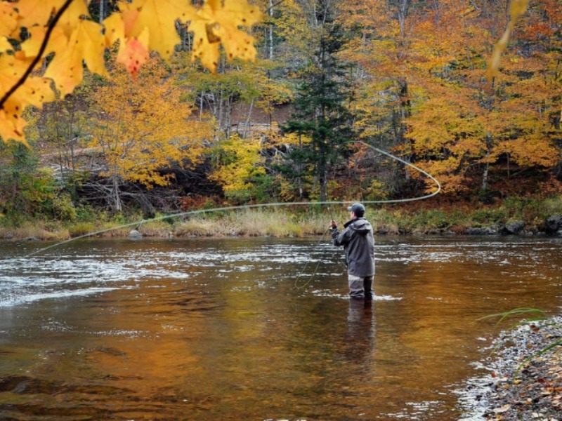 Alaska Guided Fishing Trips: An avid angler enjoys guided fly-fishing in an Alaskan stream in the fall.